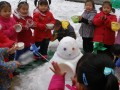 平顶山伟才幼儿园活动花絮