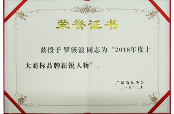 伟才教育董事长罗骇浪荣获“2018年度十大商标品牌新锐人物”