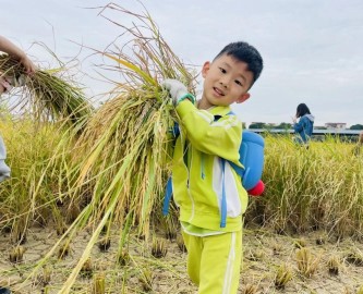 金秋，伟才幼儿园的生态课堂